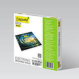 Електронні ваги підлогові Maestro MR 1821, фото 4