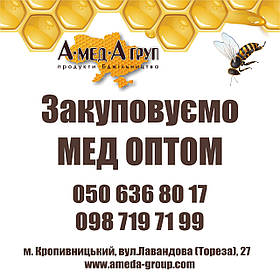 Закуповуємо мед різнотрав'я