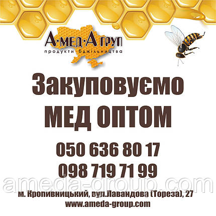Купуємо мед оптом Кропивницький, фото 3