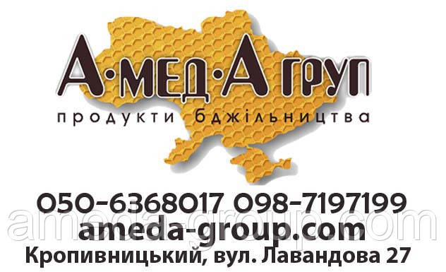 Закуповуємо мед оптом в Кіровоградській, Черкаській, Полтавській області - фото 1 - id-p548828801