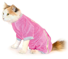 Одяг для собак Кнопка №0 Комбінезон Лорі