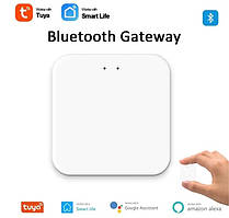 Bluetooth шлюз Tuya Gateway Hub для автоматизації розумного будинку WiFi