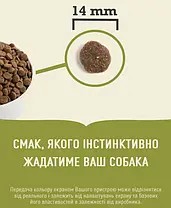 Сухий корм для собак ACANA Free-Run Duck Dog з чутливим травленням з качкою 6 кг, фото 4