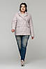 Жіноча весняна куртка Стейсі  р-ри 48-58, фото 3