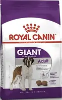 Сухий корм Royal Canin Giant Аdult для дорослих собак гігантських порід 4 кг