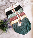 Жіночі труси плавки бавовна 42-48р 6 кольорів, фото 2