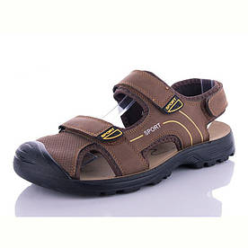 Сандалі чоловічі Paliament коричневі на піні