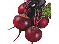 Буряк столовий 