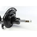 Амортизатор передній Laguna 01- (масл.), фото 3