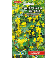 Насіння Настурція Канарська ліана жовта однорічна рослина кучерява 1 г