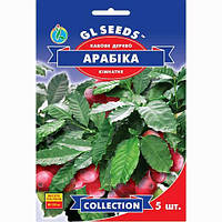 Кавове дерево Арабіка GL Seeds