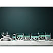 Electrolux Набір для чищення пральних та посудомийних машин, 12x50гр - | Ну купи :) |, фото 4