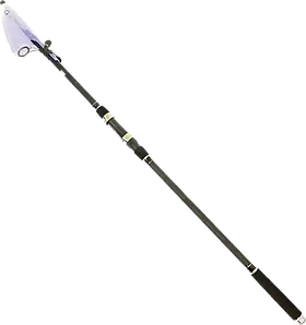 Спінінг телекарп "Diamant" 80-200г 3.0м