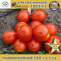 Томат ультра-ранній 1855 F1 ТМ Spark Seeds (США), 500 насінин