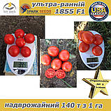 Томат ультра-ранній 1855 F1 ТМ Spark Seeds (США), 500 насінин, фото 3