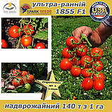 Томат ультра-ранній 1855 F1 ТМ Spark Seeds (США), 5 000 насінин, фото 4