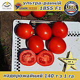 Томат ультра-ранній 1855 F1 ТМ Spark Seeds (США), 5 000 насінин, фото 5