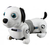 Интерактивная игрушка Silverlit робот-собака DACKEL JUNIOR (88578) p