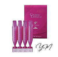 Milbon Маска для окрашенных жестких волос Grand Linkage 4X Hair Treatment (4*9 г)