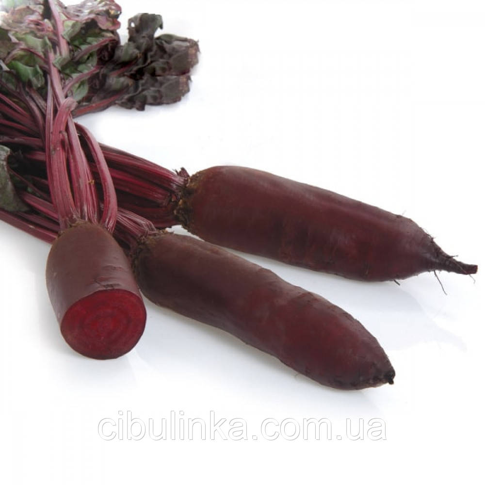 Буряк столовий Родена F1 Sakata/Японія 200 шт (zip-paket), фото 1