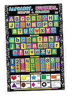 Education Charts Alphabet, Numbers, Shapes & Colours - - 978-983-145-837-2