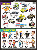 Educational Chart Mini Vehicles & Occupations - - 9555430538209