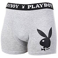 Труси-боксери ANNYA PLAYBOY BOXERSHORT сірий Чол M