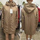 Куртка Жіноча р.52-60 Deify Фірмова утеплена куртка жіноча зі знімним капюшоном, фото 2