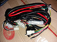 Проводка 139QMB STORM на Китайський скутер 4T - 50 | 60 | 80 | 100 фірма ZHENGHE - Оригінал Тайвань