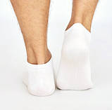 Шкарпетки чоловічі короткі снікерси Lomani р.40-44 білі, фото 2