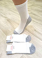 Чоловічі шкарпетки висока резинка Lomani р.40-44