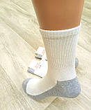 Чоловічі шкарпетки висока резинка Lomani р.40-44, фото 2