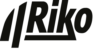 Стандартні дверні дотягувачі Riko