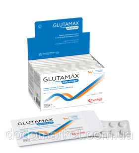 Гепатопротектор для собак Candioli Glutamax  Глутамакс Едванс 10 таблеток (блістр), фото 1