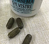 Экстракт джимнемы сильвестри Source Naturals Gymnema Sylvestre 120 таблеток, фото 4