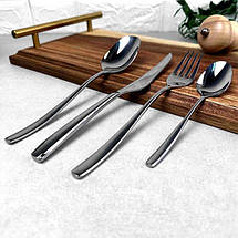 Набір столових приборів RINGEL LEO RG-3114-24, фото 3