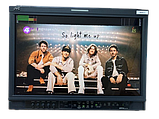 Монітор професійний JVC DT-V20L3G 20″ IPS, SDI, DVI, CVBS, COMPO, RGB, фото 7