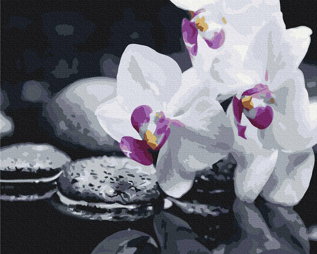 Картины по цифрам, роспись по номерам, картина на холсте (ID#2121104985 ...