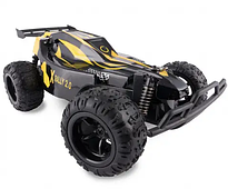 Радіокеровані машинки