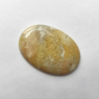 Корал - кабошон, натуральний камінь для  створення ювелірних прикрас 61,5 ct