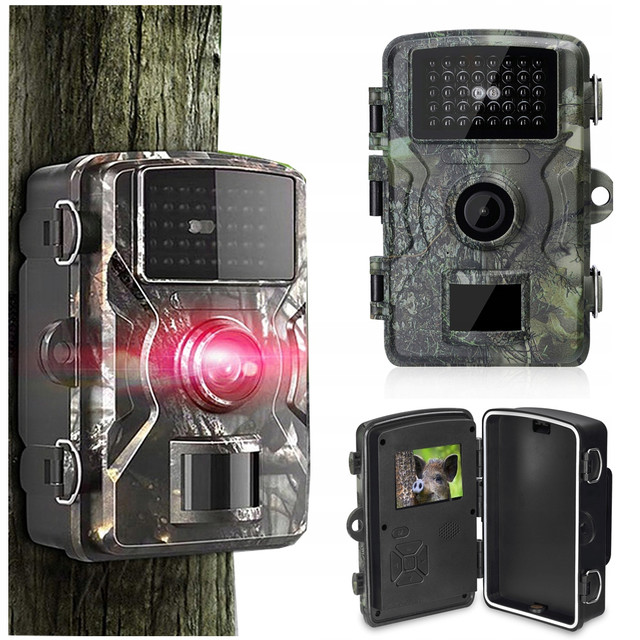 Фотоловушка