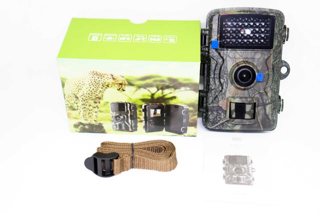 Лесные камеры фотоловушки