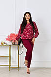 Стильний брючний костюм жіночий бордовий у горох осінній костюм із блузою прогулянковий костюм двійка батальний, фото 2