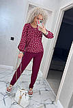 Стильний брючний костюм жіночий бордовий у горох осінній костюм із блузою прогулянковий костюм двійка батальний, фото 6