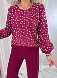 Стильний брючний костюм жіночий бордовий у горох осінній костюм із блузою прогулянковий костюм двійка батальний, фото 5