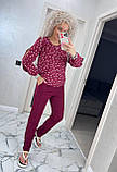 Стильний брючний костюм жіночий бордовий у горох осінній костюм із блузою прогулянковий костюм двійка батальний, фото 8