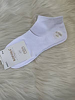 Шкарпетки жіночі білого кольору бавовна КОРОНА BY551-1 36-41