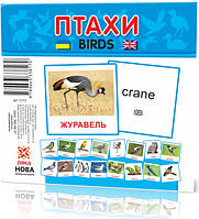 Развивающие карточки "Птицы" (110х110 мм) 72753 на укр./англ. языке от PolinaToys