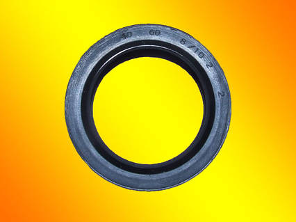 Сальник барабана 40*60*8/10,2 SKL, Electrolux 1246109001