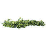 Штучна гілка Engard "Houttuynia Cordata", 65 cм (AV-04), фото 5